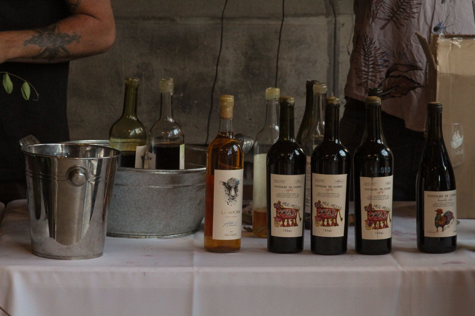 Fotografías para evento: Feria Salvaje — foto 6