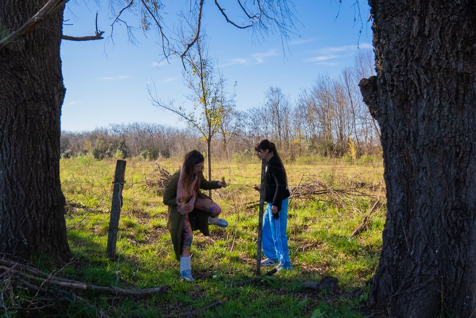 Fotografías retiro PsicoDeAr — foto 11